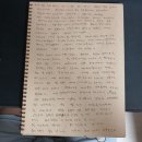 주위에서하는 말말말...행동...왕파면,배우자, 권한 없다....강아지한테 ,눈멀다 때려서...강아지산책 이미지