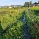 학동제일 이미지