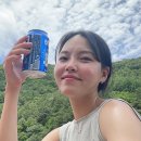 라만차의 돈키호테 캠핑장 이미지