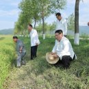 귀순농장 한국일보