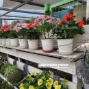 매화정원어린이집 이미지