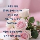 행복한아침 이미지