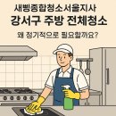 새삥종합청소서울지사