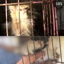 연상농장 이미지