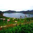 장백산 - 안산시 상록구 안산대학로 101 | 장백산