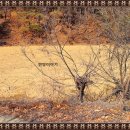 청량산쉼터민박 이미지