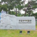 국립부여박물관 야외주차장 이미지