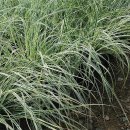 (주)상록조경 이미지