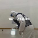 보눔172 이미지