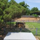 신라불교초전지 이미지