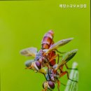 예랑요양원 | 안심할 수 있는 울산 중구 요양원 예랑소규모요양원 안심할 수 있는 선택