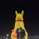 앞산케이블카 | [41개월] 5살 아이랑 대구 앞산 케이블카 타고 앞산 전망대 야경 감상하기⛰️🔭✨ (주차, 가격, 운행시간...