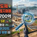 연구단지 네이버블로그