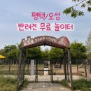 오성공원 | 평택에서 반려견과 갈만한 곳 추천 : 오성 농촌테마공원 모두마루