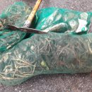 1박2일민박 이미지