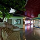 건강과 성 박물관 이미지