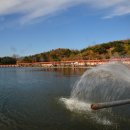 밤밭실내낚시터 이미지