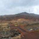 신상동 인공습지 이미지