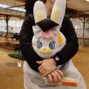 석당농장 이미지