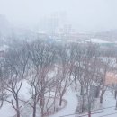 그림책여행광교교육원 네이버블로그