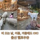 OK포인트마트 | 비 오는 날 겨울 여름 OK! 울산 아이랑 실내동물원 헬로우쥬 후기 (울산비오는날가볼만한곳)