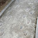 중앙공원 안 이미지