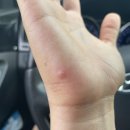 메디시아 치과의원 이미지