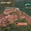 숲속의야영장 이미지