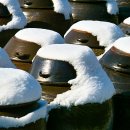 서일목장 이미지