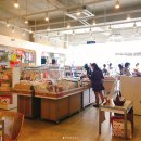 고양화전36 이미지