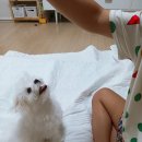 제이그루밍 이미지