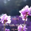 24년3월31일 부천원미산 진달래/미드님.푸른설악산님 리딩 이미지