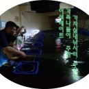 유일실내낚시터 이미지