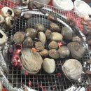 청해민박 이미지