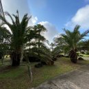 한국뷰티고등학교 이미지