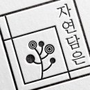 나나비펫 이미지