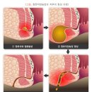 봉담장항외과의원 이미지