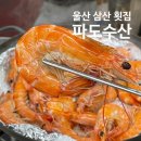 씨유울산평창현대2차점 | 울산 삼산 횟집 파도수산 제철 모듬회 생새우구이 맛집
