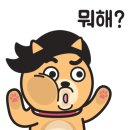 (주)퍼니빌 | [캐릭터&amp;일러스트] 카카오톡 이모티콘 제안 방법&amp;후기 - 퍼니멀스 캐릭터