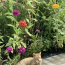 스테이외송 이미지