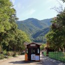 설악동자동차야영장 이미지