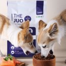 반려견을 위한 건강한 한입: 수제 간식 만들기(금요일반) | 더주오 강아지 반려견 수제간식 여름만 되면 입맛 뚝 고양이 식욕 살리는 비밀은 이 간식 후기