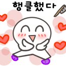 더월클라이밍 이미지