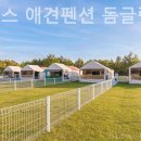 파라독스글램핑 | 태안펜션 파라독스 애견펜션 돔글램핑 오토캠핑장 가족들과 함께하기 좋은 곳