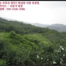 질가마골 네이버블로그