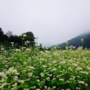 다래골농장 이미지