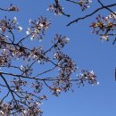 군산월명체육관 이미지