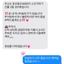 둔산동 스튜디오 우디 미니비숑과 함께하는 속눈썹펌