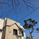 장양리 663-3번지 앞 | 충주댐 카페 추천 발리포레스트 분위기 좋은 대형 두바이초코휘낭시에