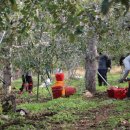 쇼핑몰(네이버스마트스토어) 이미지